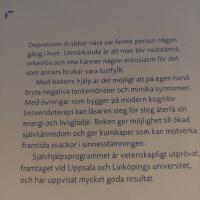 Ut ur depression och nedst&auml;mdhet med kognitiv beteendeterapi : ett effektivt sj&auml;lvhj&auml;lpsprogram