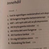 Ut ur depression och nedst&auml;mdhet med kognitiv beteendeterapi : ett effektivt sj&auml;lvhj&auml;lpsprogram