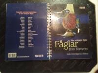 F&aring;glar fr&aring;n f&ouml;nstret : k&auml;nn igen v&aring;ra vanligaste f&aring;glar : [mata vinterf&aring;glarna, holkar]