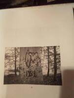 Swedish arborglyphs - august &ndash; september 2021