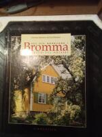 Hus och m&auml;nniskor i Bromma : fr&aring;n Nockeby till Alvik