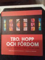 Tro, hopp och f&ouml;rdom - religion som resurs i m&ouml;tet med den andra