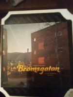 Bromsgatan : vi som bodde p&aring; g&aring;rdarna
