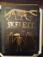 Skelett : djur