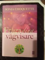 Fr&aring;ga dina v&auml;gvisare