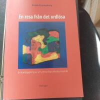 En resa fr&aring;n det ordl&ouml;sa : en kartl&auml;ggning av ett personligt yrkeskunnande