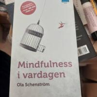 Mindfulness i vardagen : V&auml;gar till medveten n&auml;rvaro