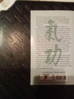 Qigong enligt Biyun - L&aring;t livskraften &aring;terv&auml;nda