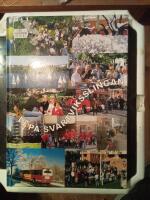 Minnebergs historia : nedtecknade ber&auml;ttelser fr&aring;n studiecirklarna "V&aring;r bygds historia" : jubileumsskrift