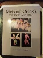 Miniature Orchids 