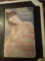 M&ouml;ten i gryningen : erfarenheter fr&aring;n psykosocialt behandlingsarbete med sp&auml;d- och sm&aring;barnsfamiljer