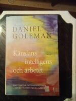 K&auml;nslans intelligens och arbetet : emotionell intelligens och social kompetens i arbetslivet