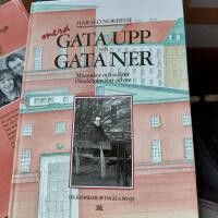 Mera gata upp och gata ner : m&auml;nniskor och milj&ouml;er i Stockholm f&ouml;rr och nu