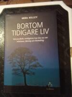 Bortom tidigare liv : vad parallella verkligheter kan l&auml;ra oss om relationer, l&auml;kning och f&ouml;r&auml;ndring