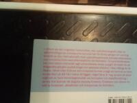 Om Bo Rothstein : forskaren, debatt&ouml;ren, livsnjutaren