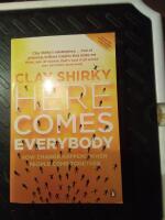 Here Comes Everybody