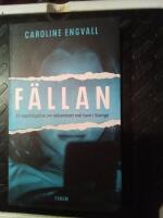 F&auml;llan : en reportagebok om n&auml;tsexbrott mot barn i Sverige