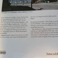 Stockholm - staden som f&ouml;rsvann 2 : Bilder i f&auml;rg fr&aring;n 1950- och 60-talen