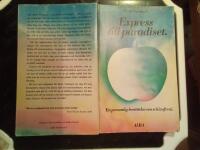 Express till paradiset : [en personlig ber&auml;ttelse om schizofreni]