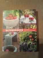 Stora betongboken : 100 projekt fr&aring;n prova p&aring; till proffs
