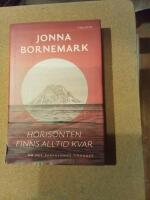 Horisonten finns alltid kvar : om det bortgl&ouml;mda omd&ouml;met