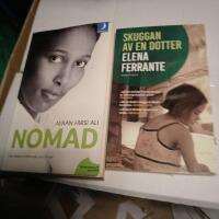 Nomad : en personlig resa genom civilisationerna