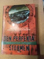 Den perfekta stormen