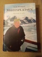 M&ouml;tesplatsen : ber&auml;ttelser ur minnet
