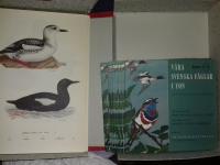 V&Aring;RA SVENSKA F&Aring;GLAR I F&Auml;RG 3 DEL. Komplett + 12 f&aring;gelskivor EP 45  fantastiskt ljud