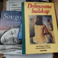 F&ouml;rst&aring; dina dr&ouml;mmar + Dr&ouml;mmens budskap + Sov gott 