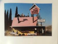 Views from the Hollywood Hills