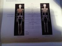 Principles of anatomy and physiology