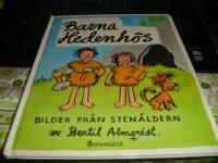 Barna Hedenh&ouml;s : [bilder fr&aring;n sten&aring;ldern]