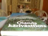 &Ouml;lands k&auml;rlv&auml;xtflora