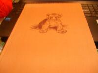 Simba : en lejonunges glada och sorgliga upplevelser p&aring; 