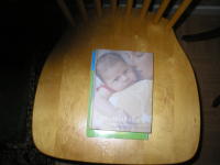 Det f&ouml;rsta &aring;ret : en bok om din baby