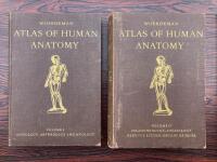 Atlas of human anatomy. Descriptive and Regional, I-II