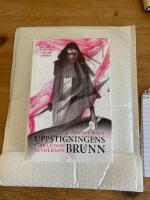 Mistborn : Uppstigningens brunn. Del II