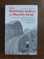 Fr&aring;n Brittiska Indien till Huseby bruk : J&auml;rnv&auml;gen som arena f&ouml;r modernitet