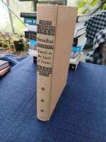 Travels in the South of France