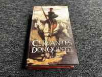 Don quijote