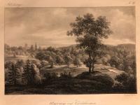 Asarum vid Carlshamn 