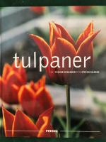 Tulpaner