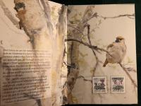 En vandring i svensk natur