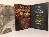 Bo Setterlind: 3 volymer - Hirundo - Den inre himlen - Ocks&aring; f&aring;glarna &auml;r f&aring;ngar i sorgespelet