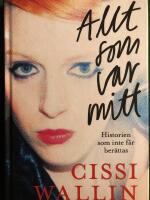 Allt som var mitt : historien som inte f&aring;r ber&auml;ttas