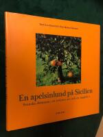 En apelsinlund p&aring; Sicilien