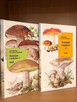 Svampar i naturen 1-2