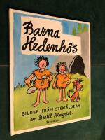 Barna Hedenh&ouml;s - bilder fr&aring;n sten&aring;ldern