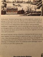 Vackra dagboken : Carl Henric Robsahms anteckningar fr&aring;n 1830-talet